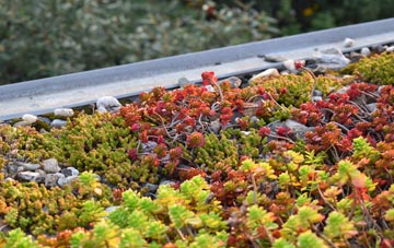 the cost of Guys Marsh green roof installation