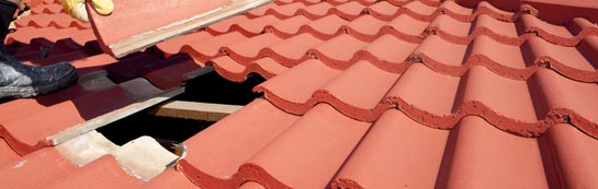 compare Guys Marsh roof repair quotes