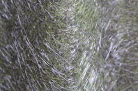 Guys Marsh fibreglass roof work